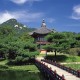 世界举重康复名师驻点教学第230站成果汇编发布，世界举重比赛冠军
