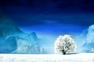世界短道速滑教练数据化训练手册发布，2021年短道速滑教练是谁