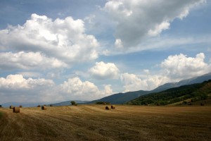 世界短道速滑科研训练模型国际合作论文集第二卷发布，世界短道速滑锦标赛的举办时间为多久